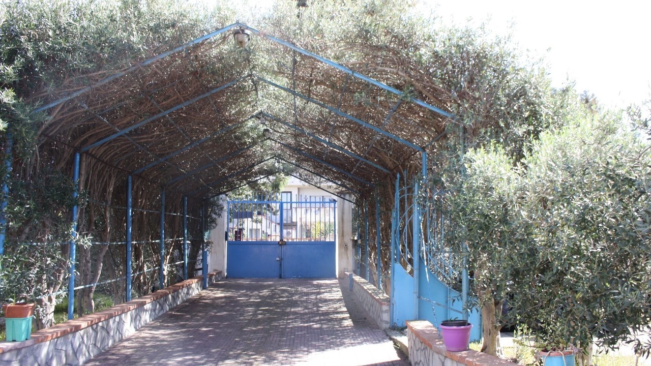 Photo of Outdoor in Trappeto