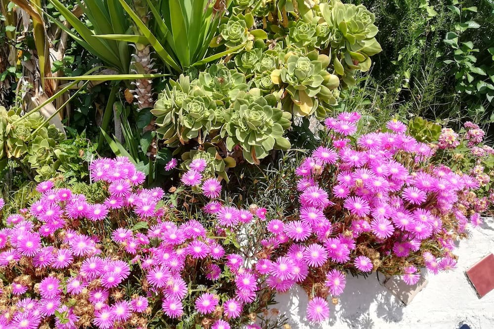 Photo of Outdoor in Santa Teresa di Riva