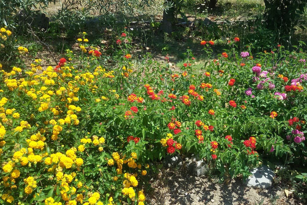 Photo of Outdoor in Santa Teresa di Riva