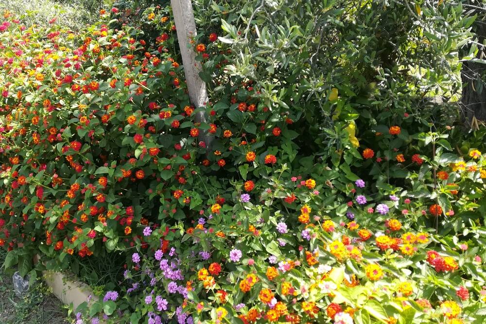 Photo of Outdoor in Santa Teresa di Riva