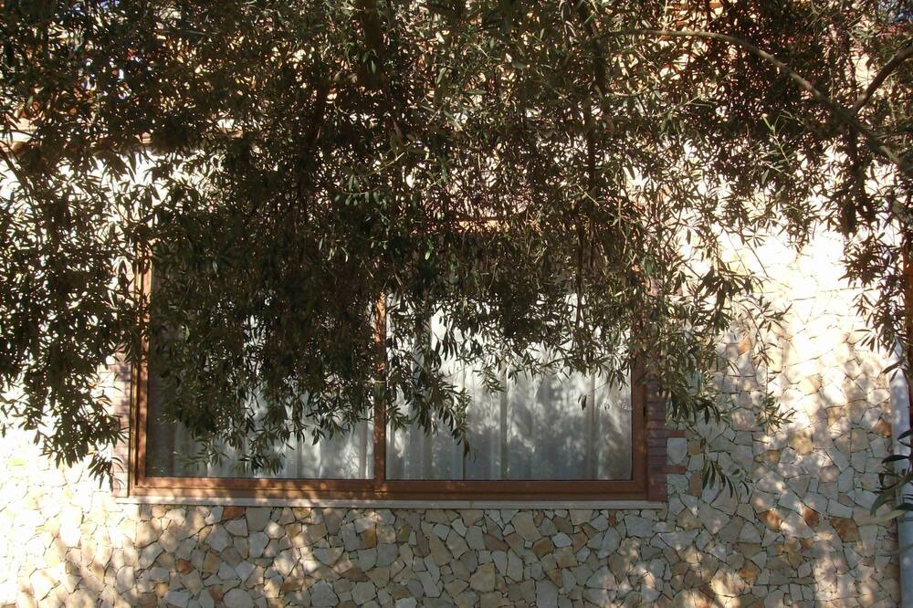 Photo of Others in Santa Teresa di Riva