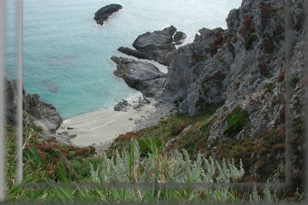 Photo of Others in Coccorino