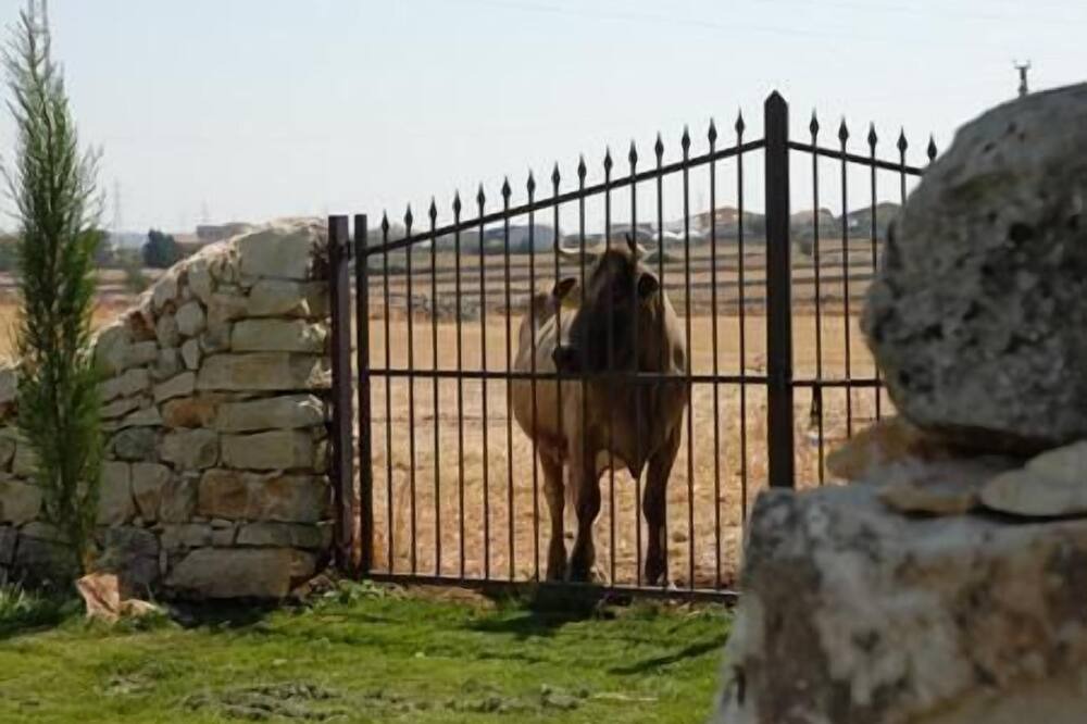 Photo of Others in Ragusa