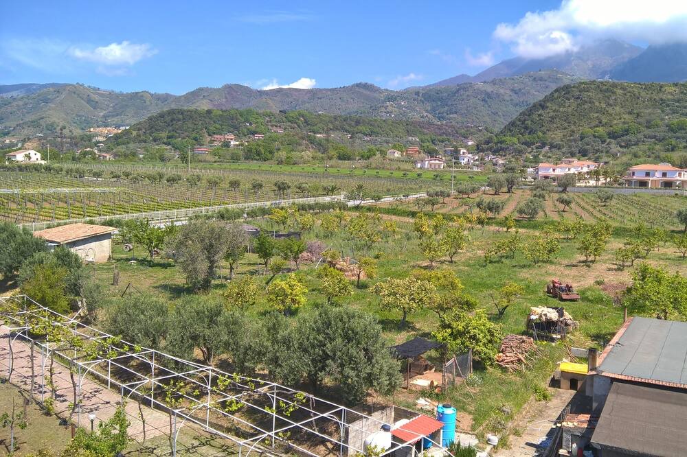 Photo of Others in Belvedere Marittimo