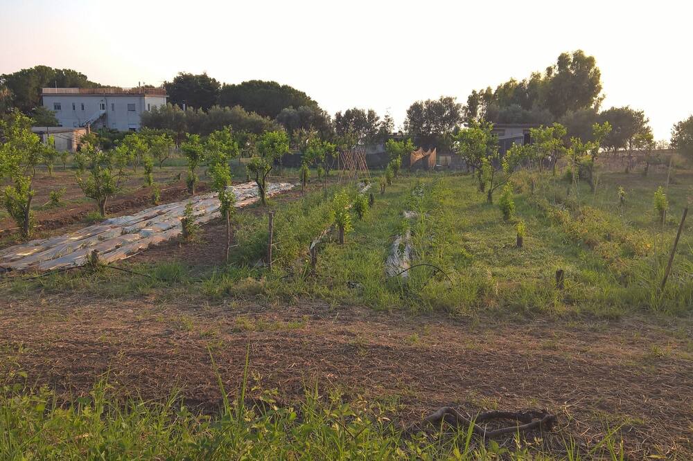 Photo of Outdoor in Belvedere Marittimo