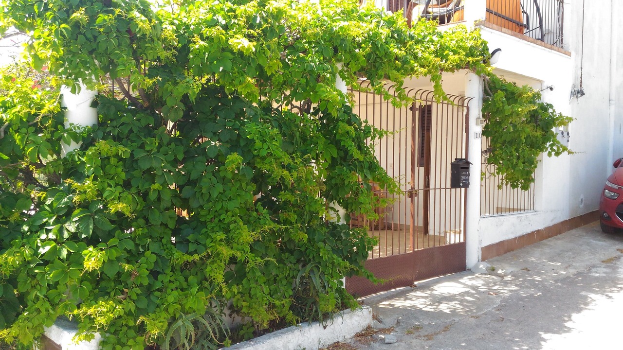 Photo of Outdoor in Trabia