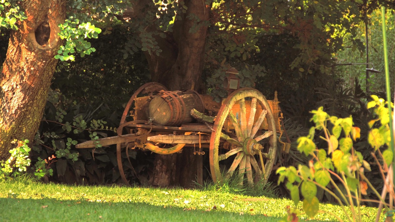 Photo of Outdoor in Carrubazza-Motta