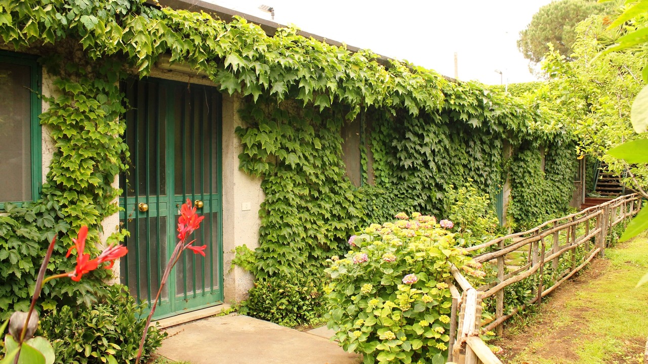 Photo of Outdoor in Carrubazza-Motta