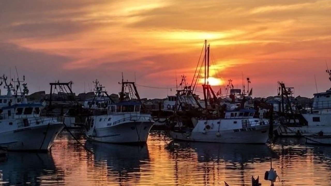 Photo of Others in Scoglitti