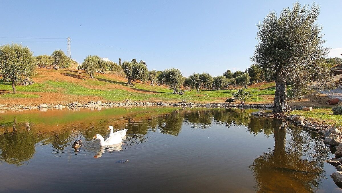 Photo of Outdoor in Campofelice di Roccella