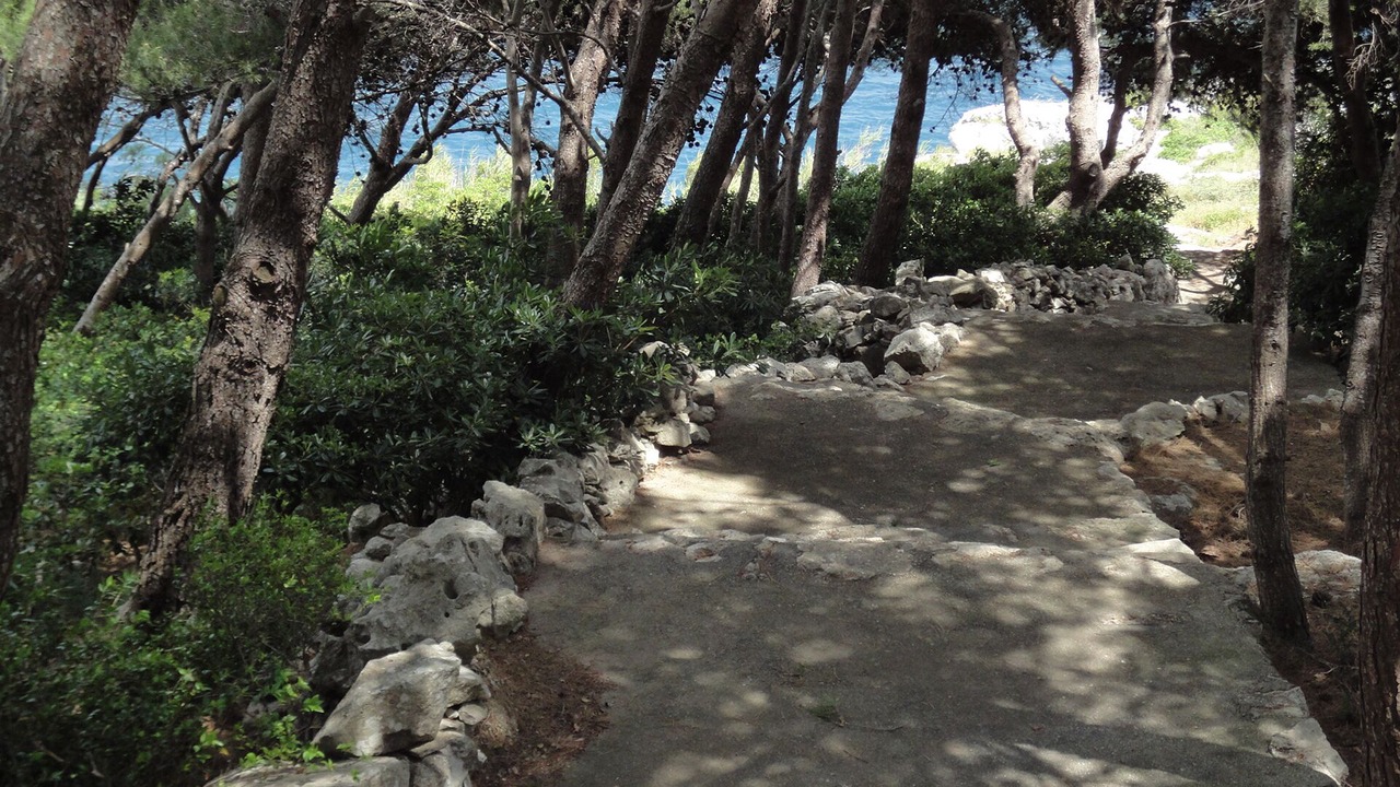Photo of Outdoor in Corsano