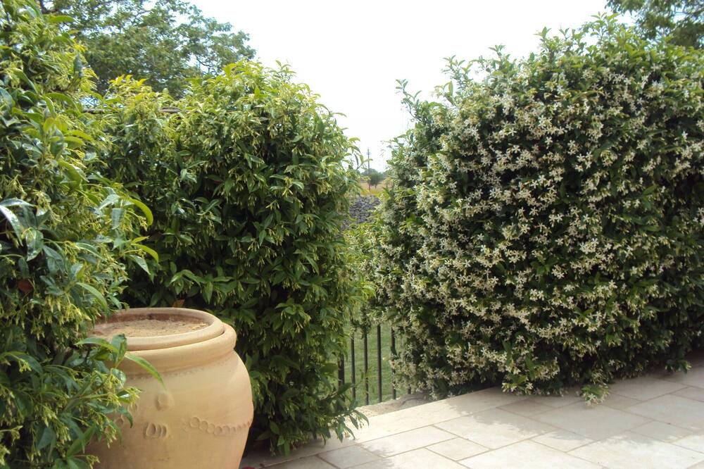 Photo of Outdoor in Ragusa