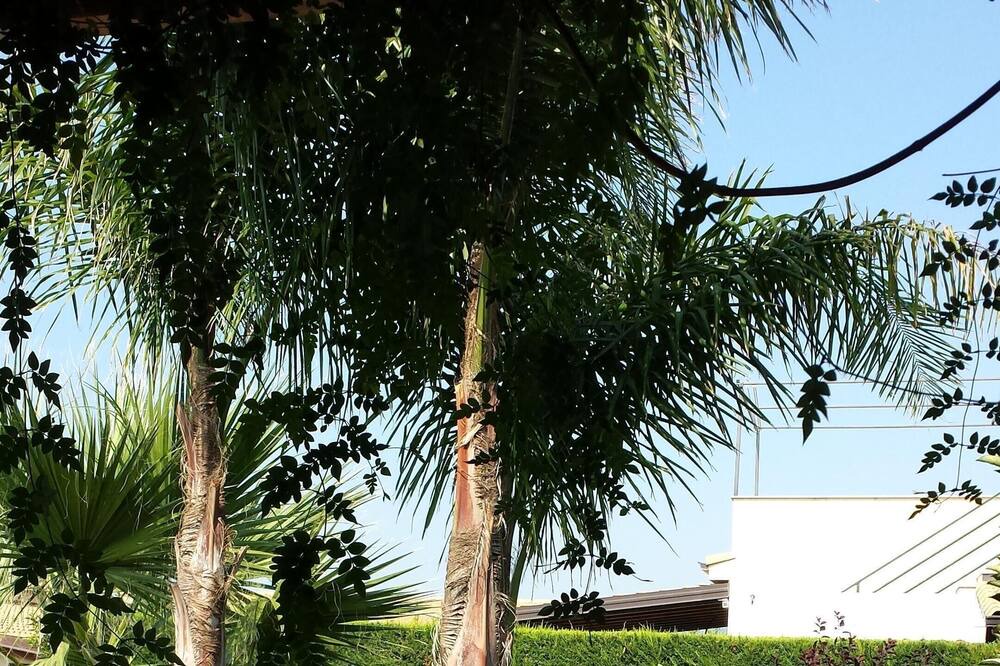 Photo of Outdoor in Piana Calzata