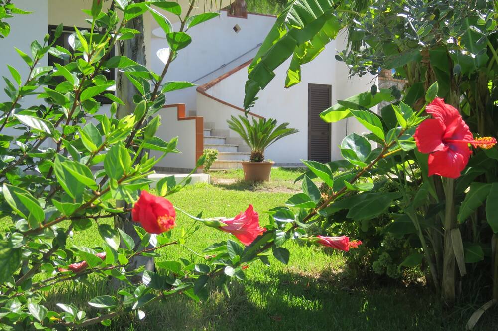 Photo of Outdoor in Joppolo