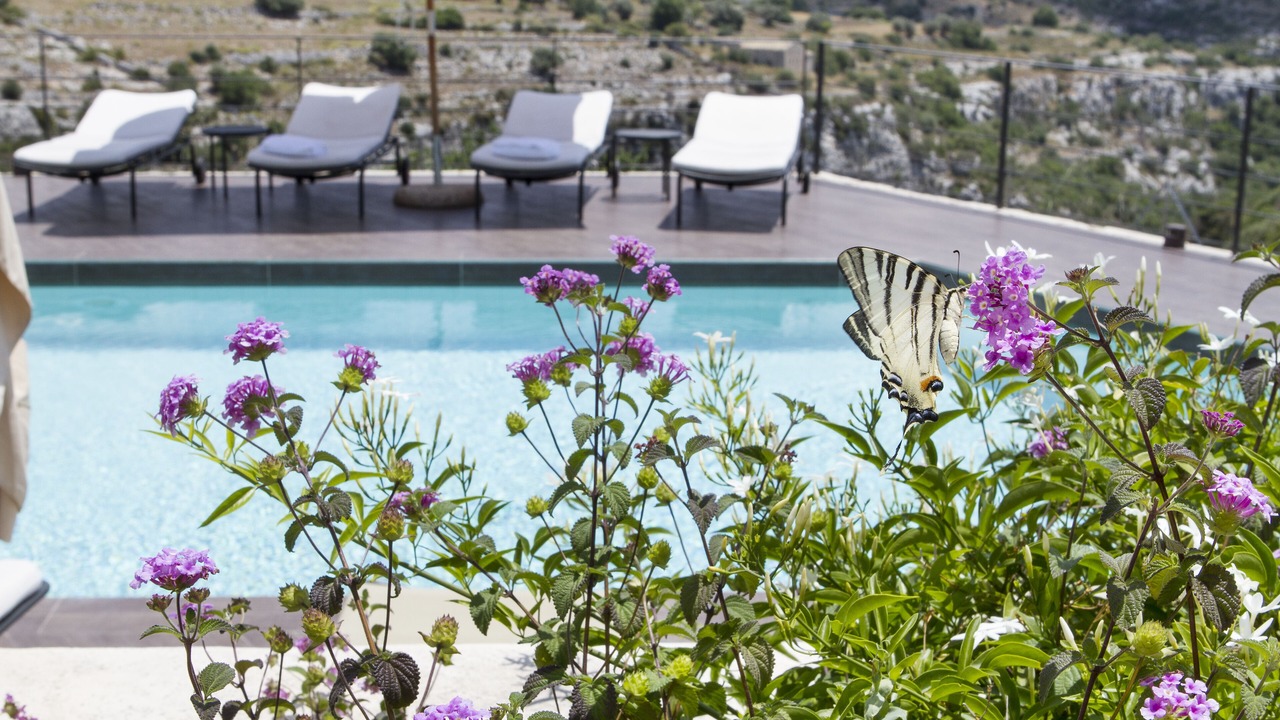Photo of Outdoor in Casa Papa