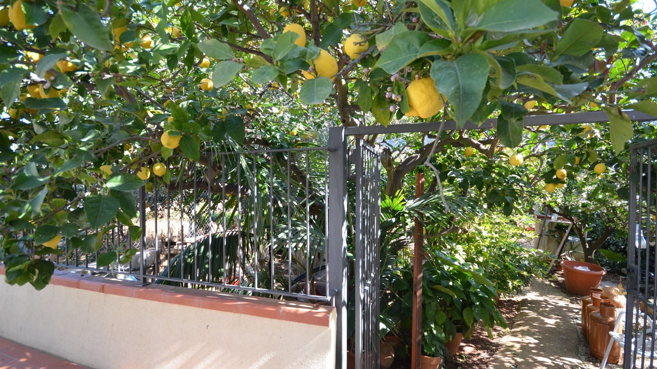 Photo of Outdoor in Castelluzzo