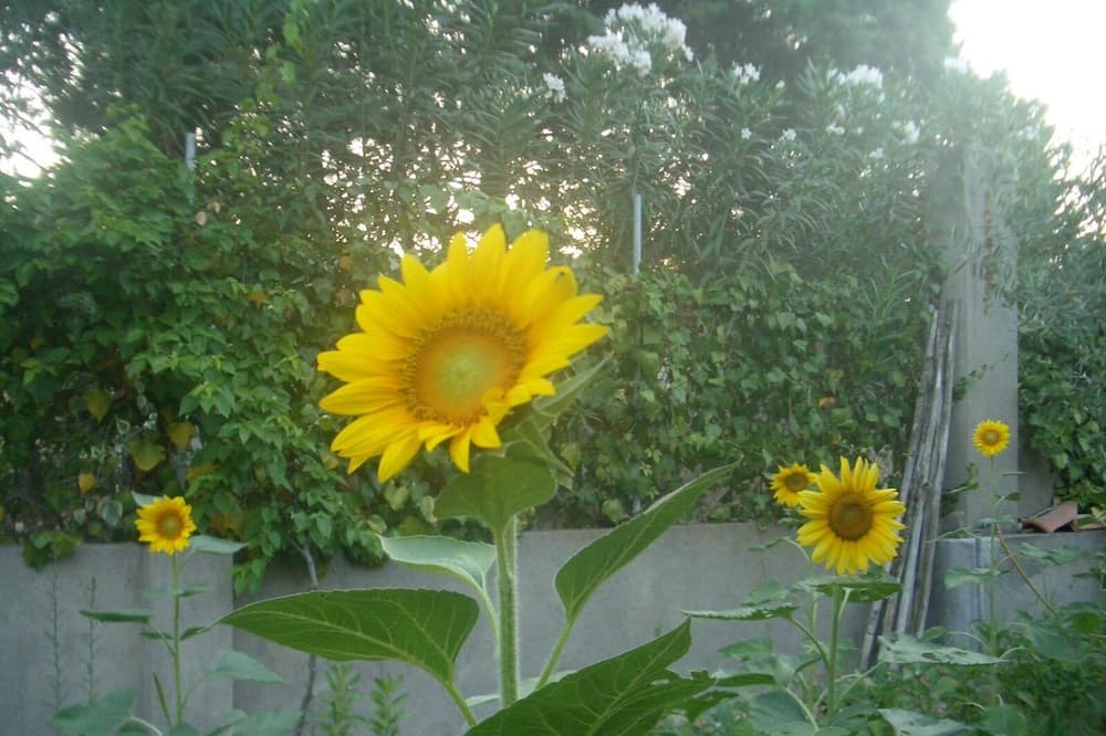 Photo of Outdoor in Galliciano
