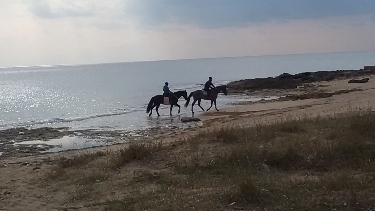 Photo of Others in San Pietro in Bevagna