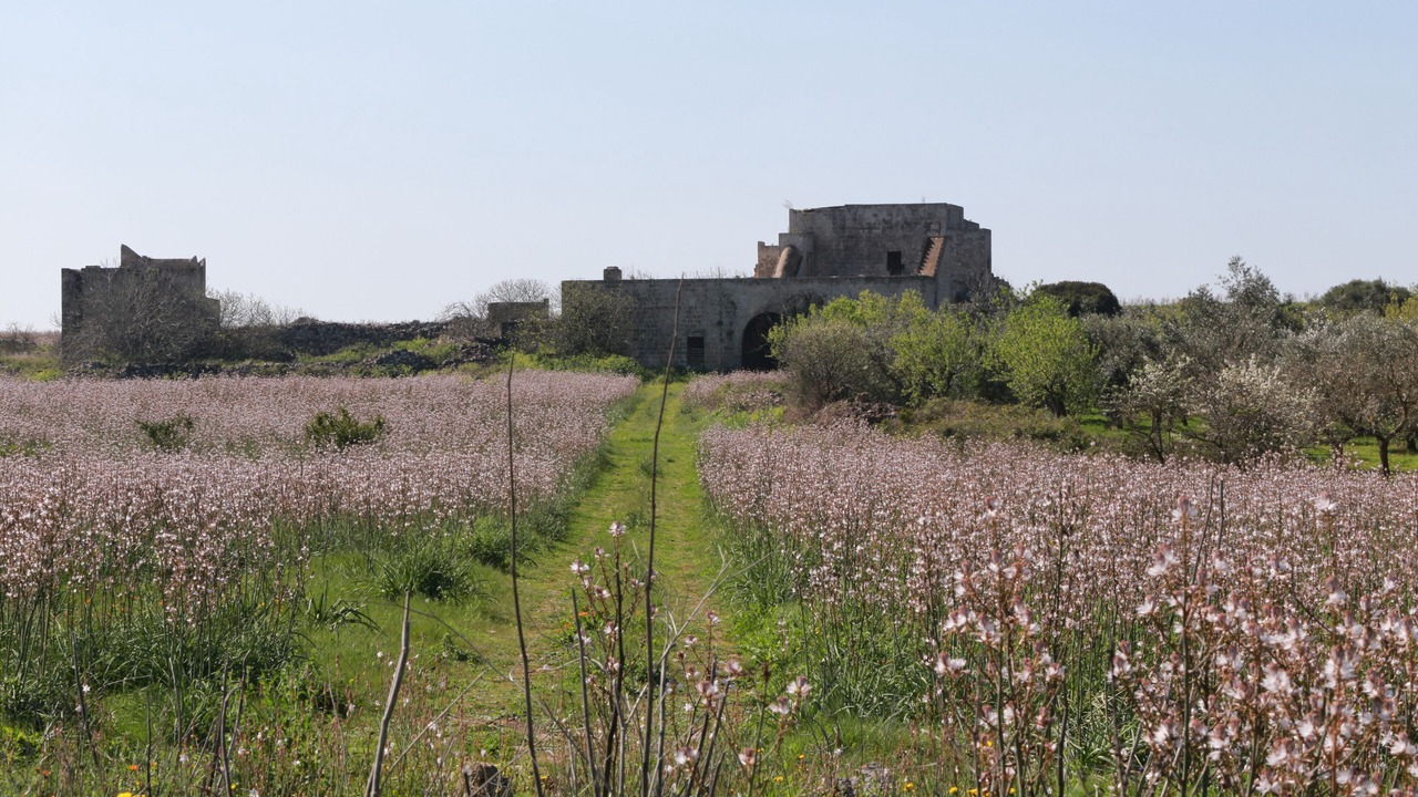 Photo of Outdoor in San Pietro in Bevagna