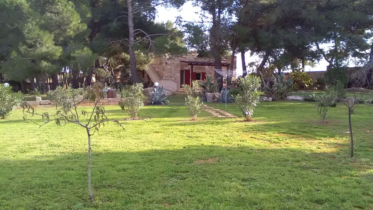 Photo of Outdoor in San Pietro in Bevagna