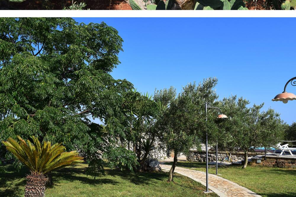 Photo of Outdoor in Corsano