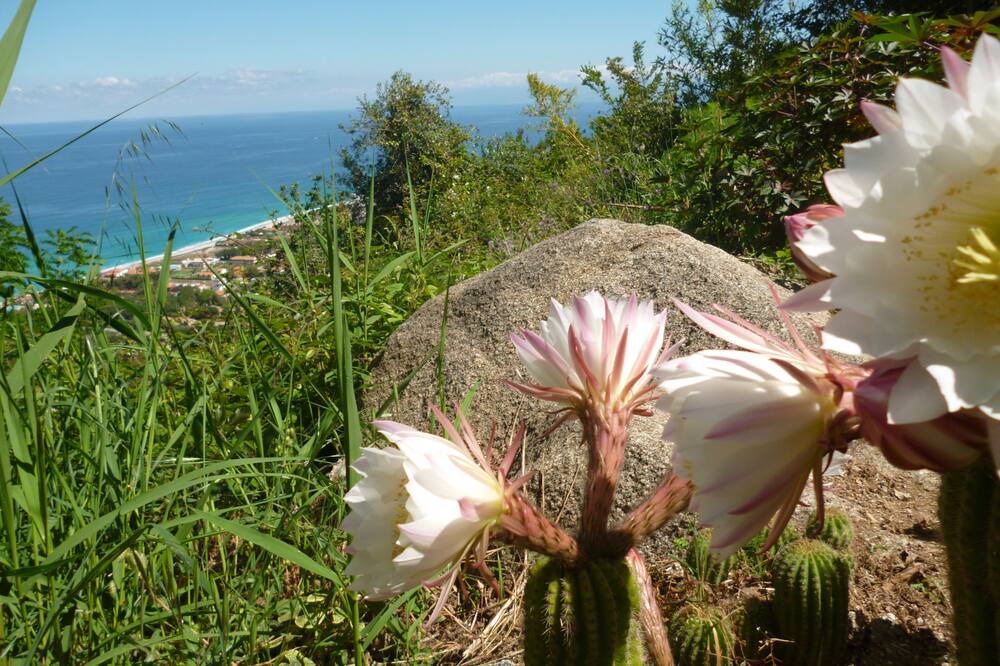Photo of Outdoor in Marina di Zambrone