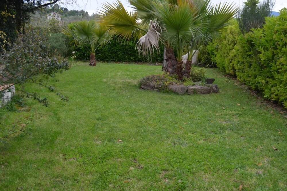 Photo of Outdoor in Ascea