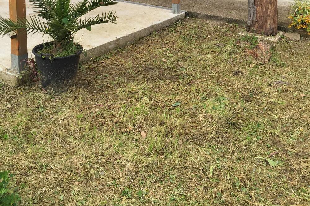 Photo of Others in Ascea