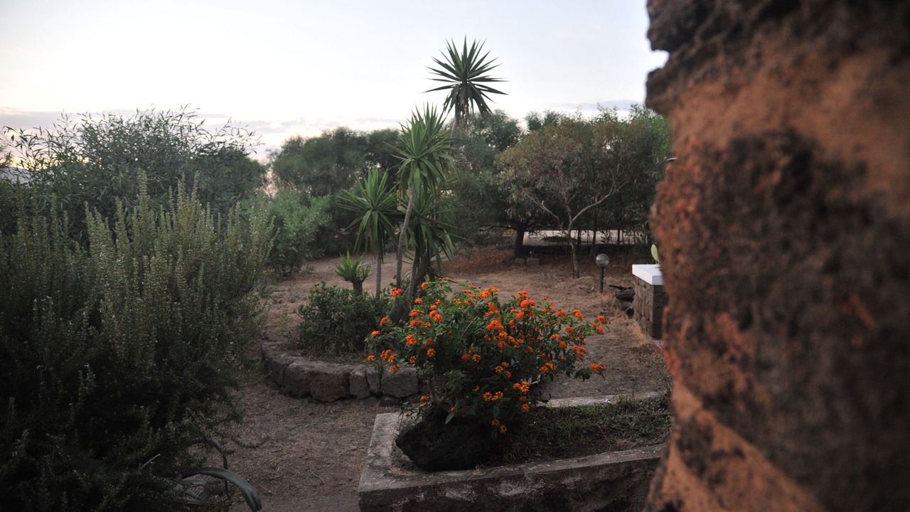 Photo of Outdoor in Pantelleria
