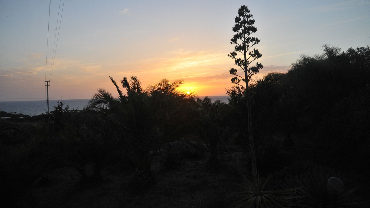 Photo of Others in Pantelleria