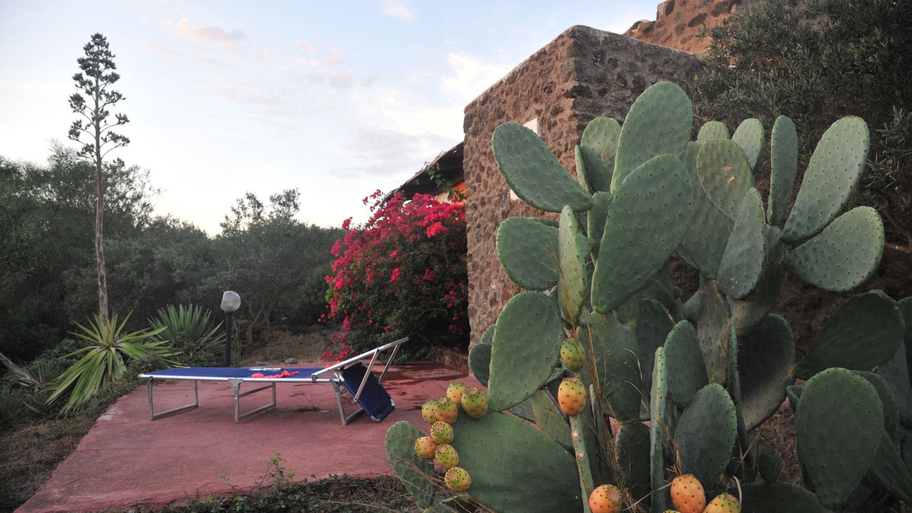 Photo of Outdoor in Pantelleria