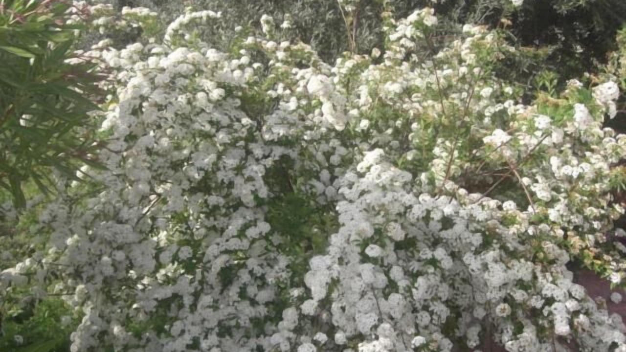 Photo of Outdoor in Chiaramonte Gulfi