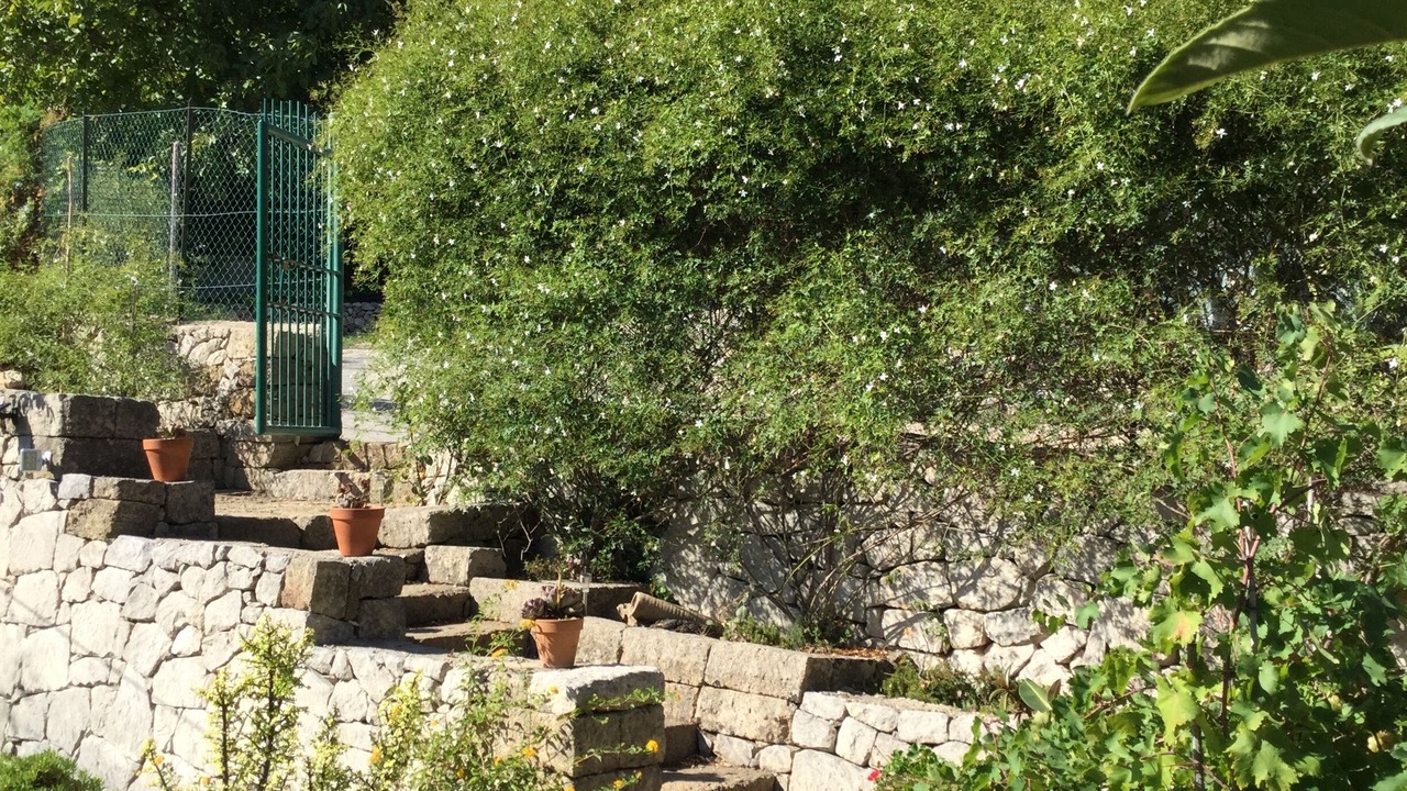 Photo of Outdoor in Avola