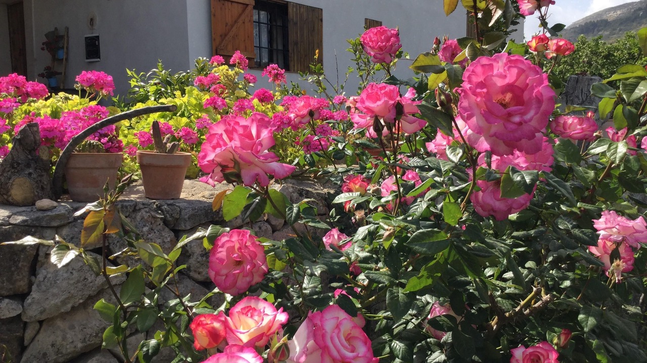 Photo of Outdoor in Avola