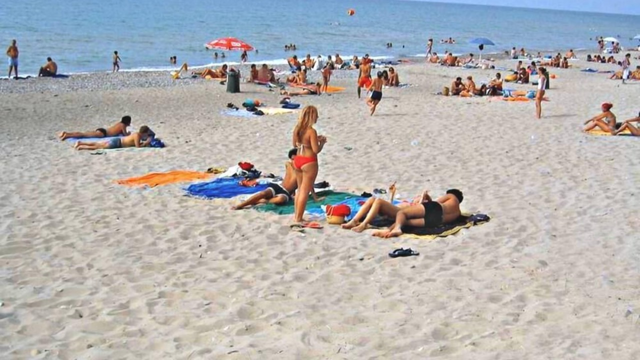 Photo of Others in Solfarelli