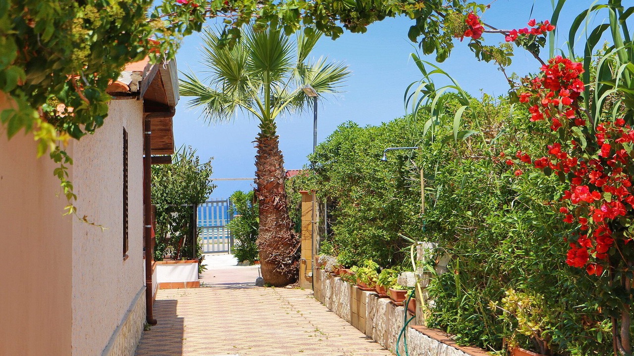 Photo of Outdoor in Solfarelli