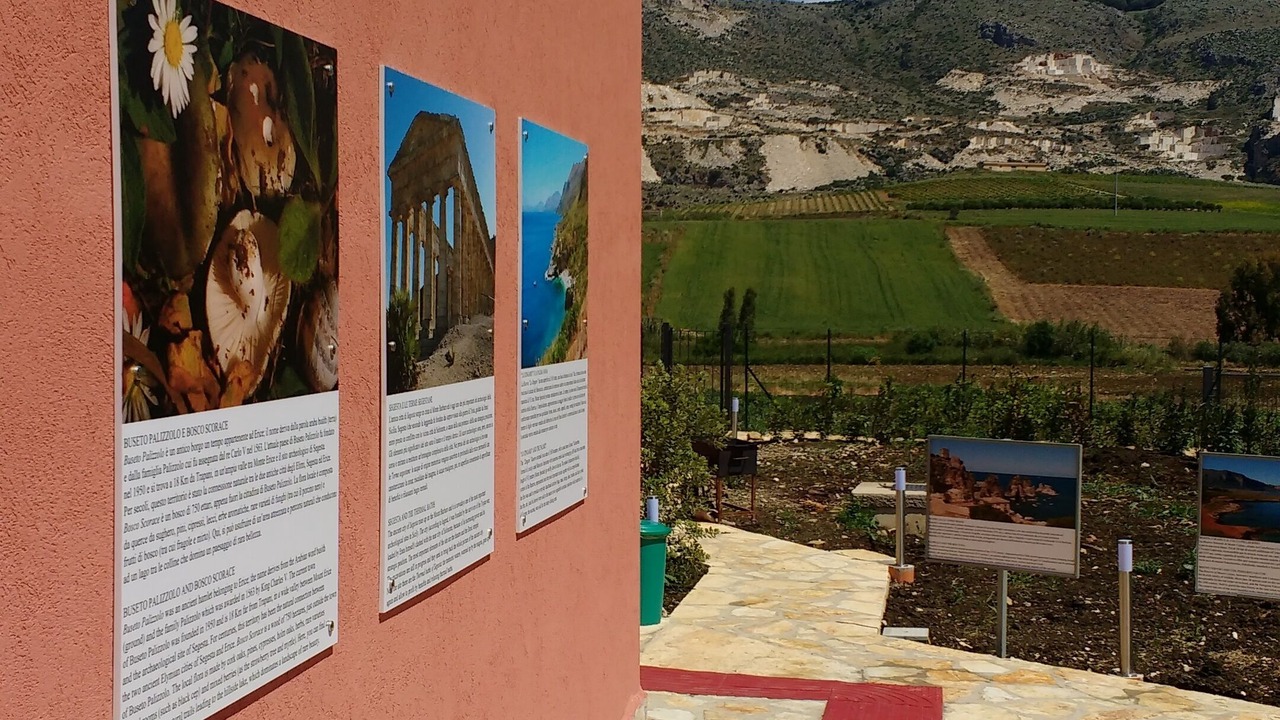 Photo of Outdoor in Mockarta