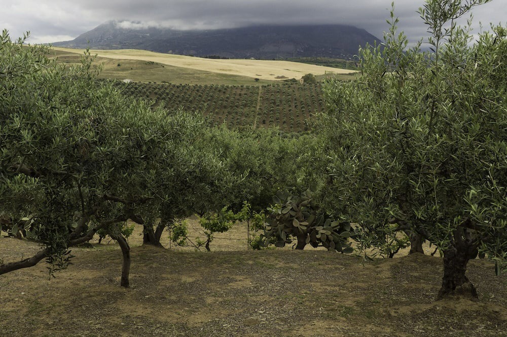 Photo of Others in Casteldaccia