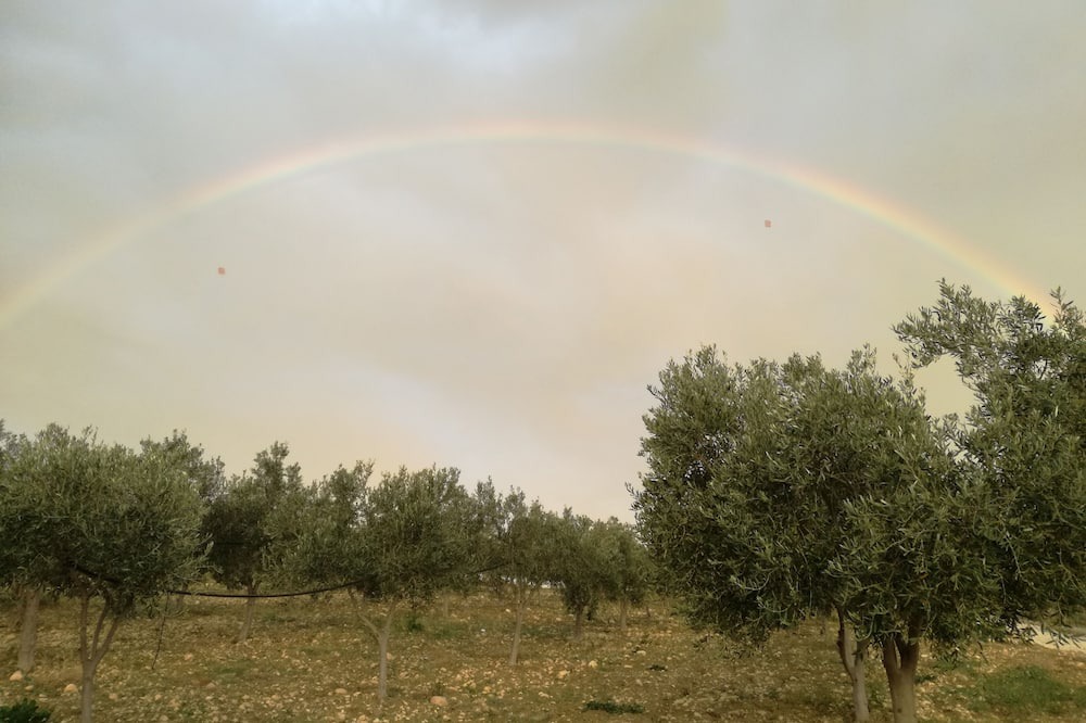 Photo of Others in Menfi