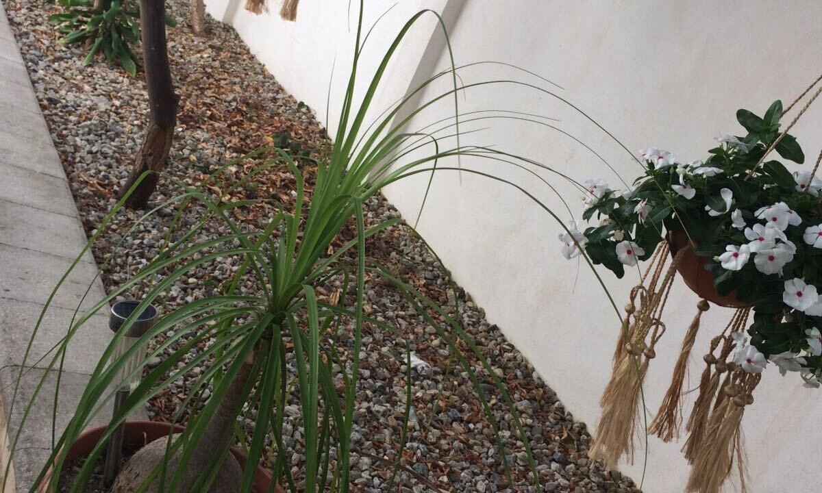 Photo of Outdoor in Villa San Giovanni