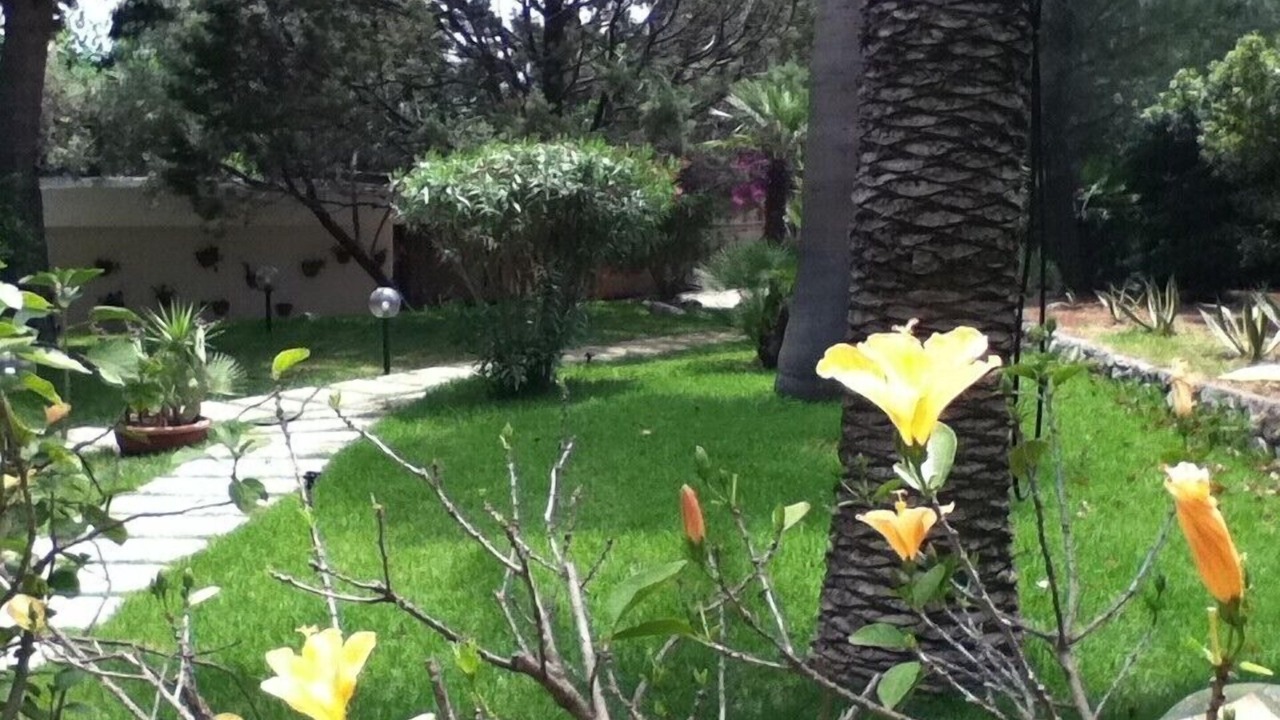 Photo of Outdoor in Mondello