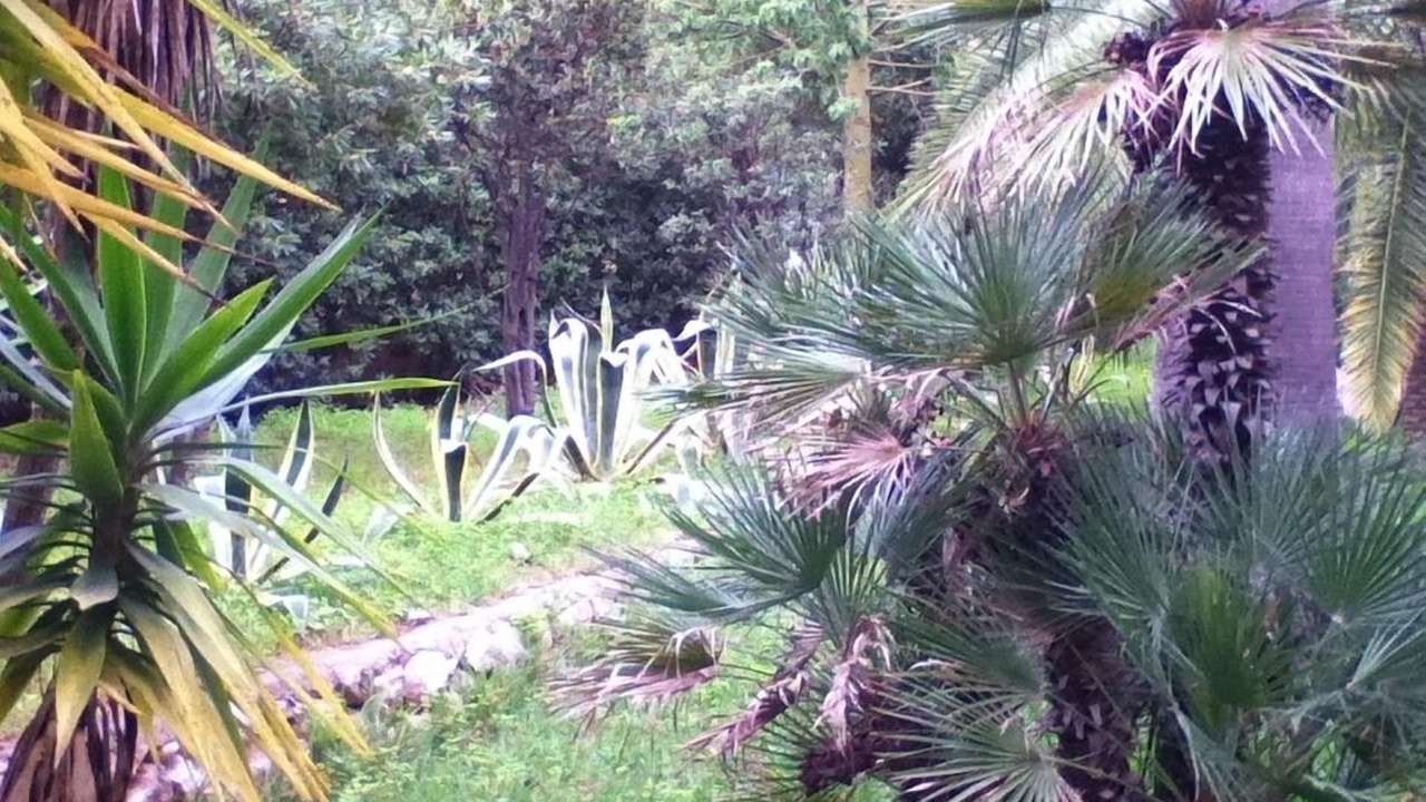 Photo of Outdoor in Mondello