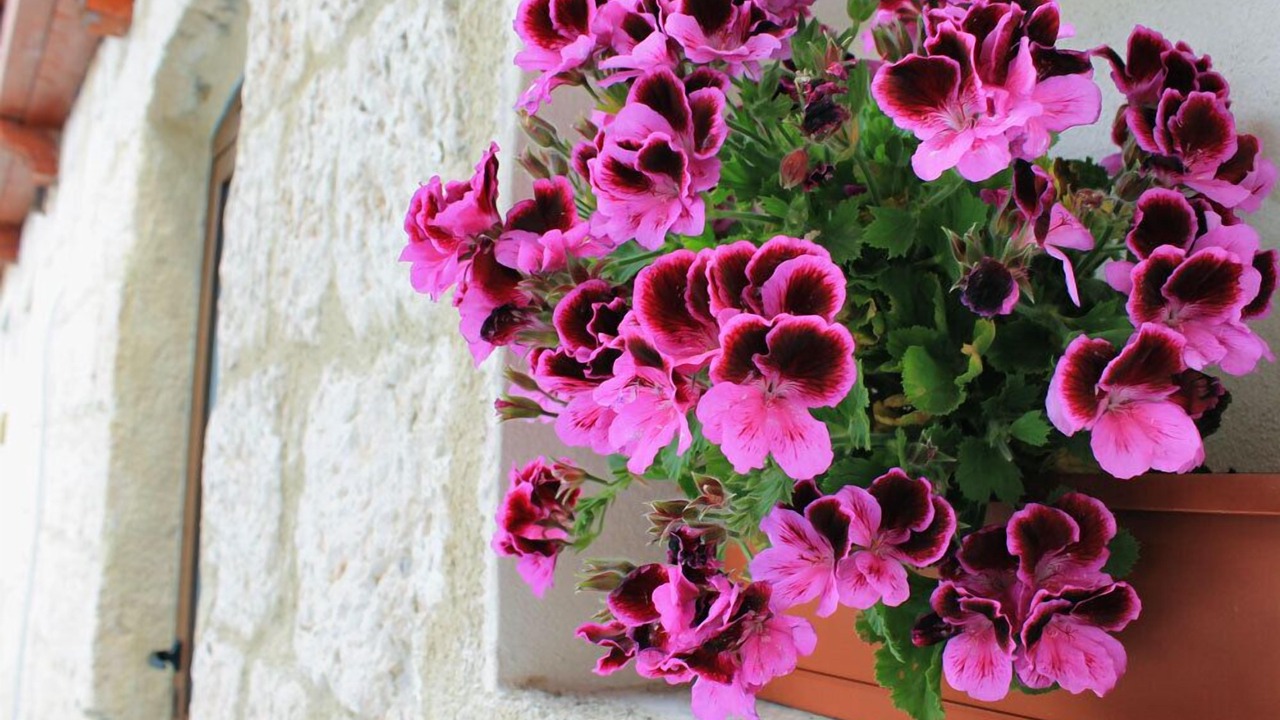 Photo of Outdoor in Acquaviva Platani