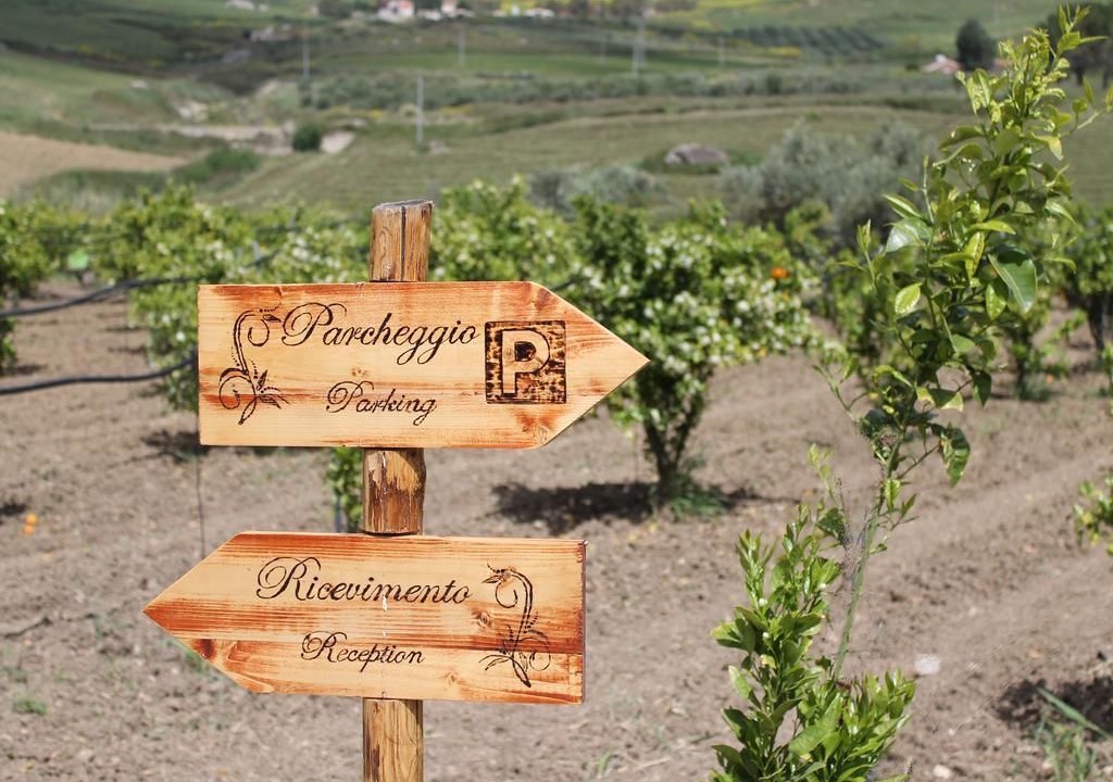 Photo of Outdoor in Acquaviva Platani
