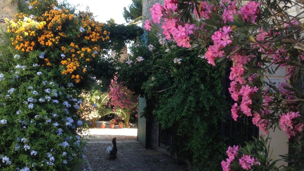 Photo of Outdoor in Campofiorito