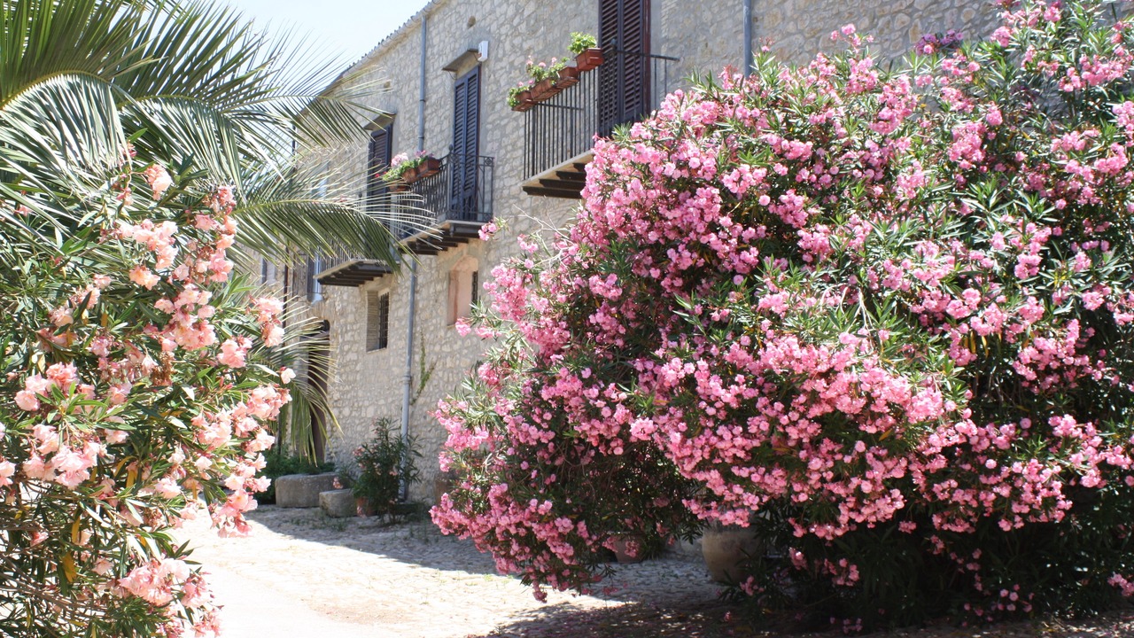 Photo of Outdoor in Campofiorito