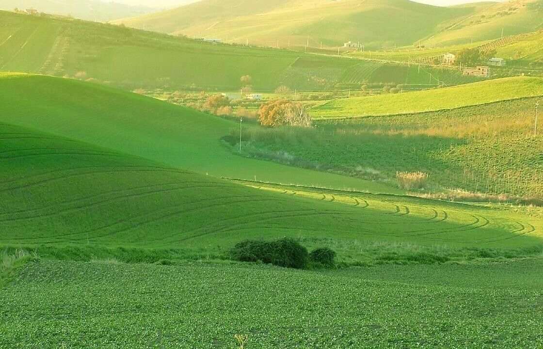 Photo of Others in Campofiorito