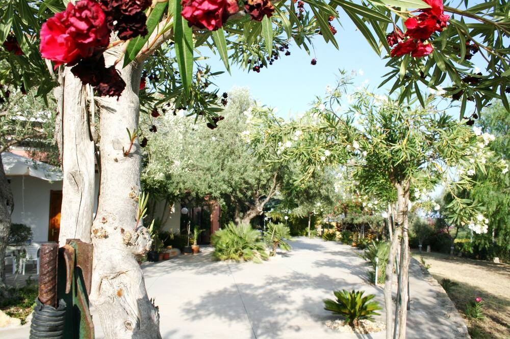 Photo of Outdoor in Avola