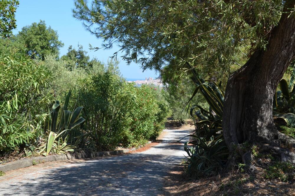 Photo of Outdoor in Cefalu