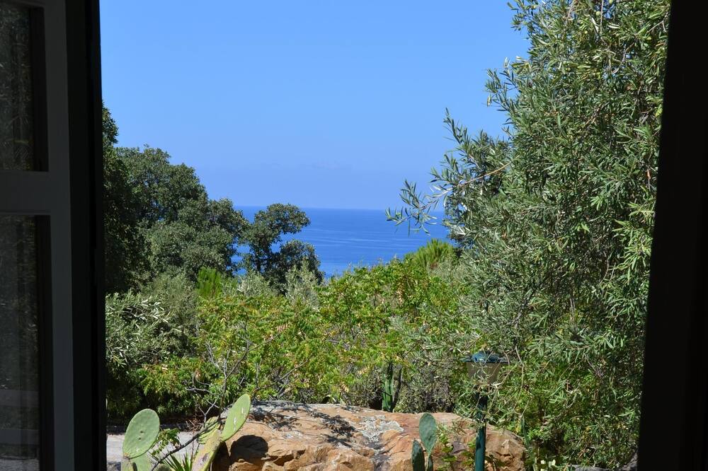 Photo of Others in Cefalu